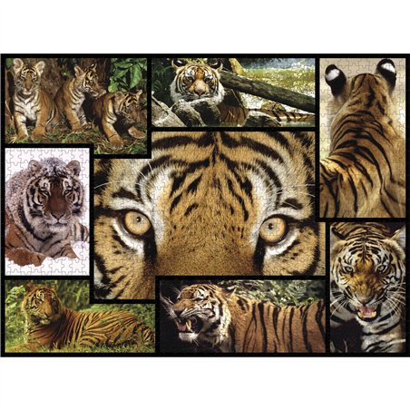 Ambassador Tigre 1000 pezzi