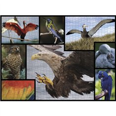 Ambassador uccelli 1000 pezzi 2