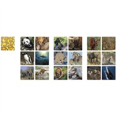 Ambassador Memo famiglie di animali 2