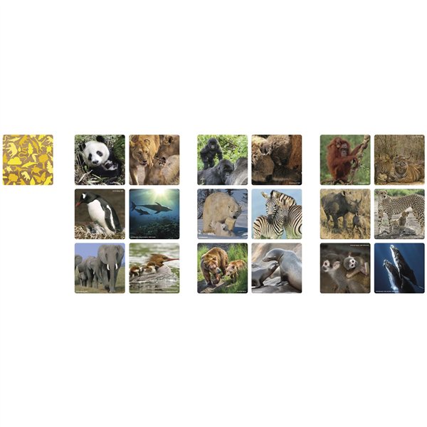 Ambassador Memo famiglie di animali