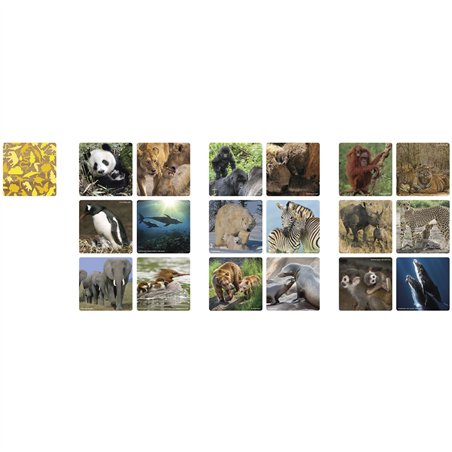 Ambassador Memo famiglie di animali