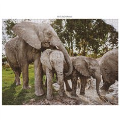 Ambassador famiglie di animali selvatici 3x1000 pz.(Donal Boyd) 2