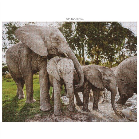 Ambassador famiglie di animali selvatici 3x1000 pz.(Donal Boyd)