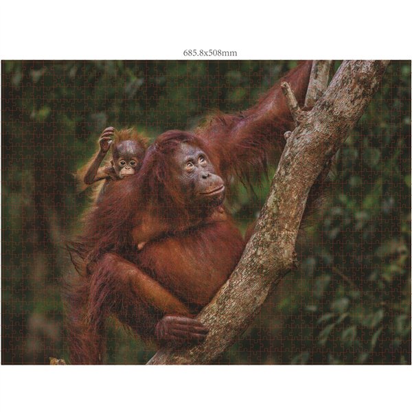 Ambassador famiglie di animali selvatici 3x1000 pz.(Donal Boyd)