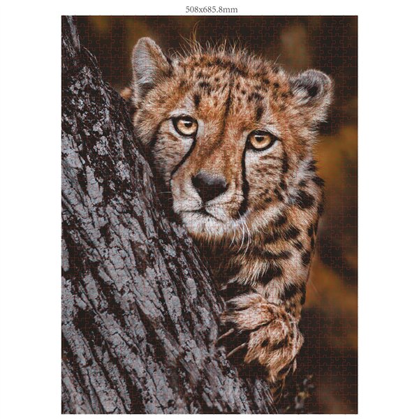 Ambassador famiglie di animali selvatici 3x1000 pz.(Donal Boyd)