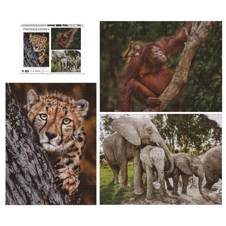 Ambassador famiglie di animali selvatici 3x1000 pz.(Donal Boyd)