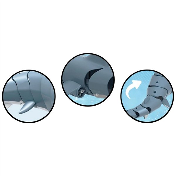 AMEWI Sharky, lo squalo blu 4 canali RTR 2,4GHz