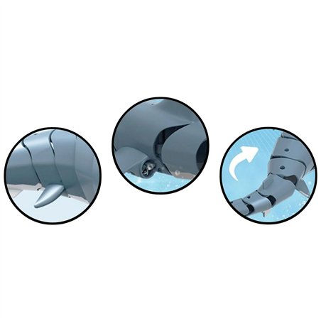 AMEWI Sharky, lo squalo blu 4 canali RTR 2,4GHz