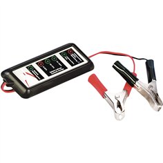 Ansmann KFZ-Power Check