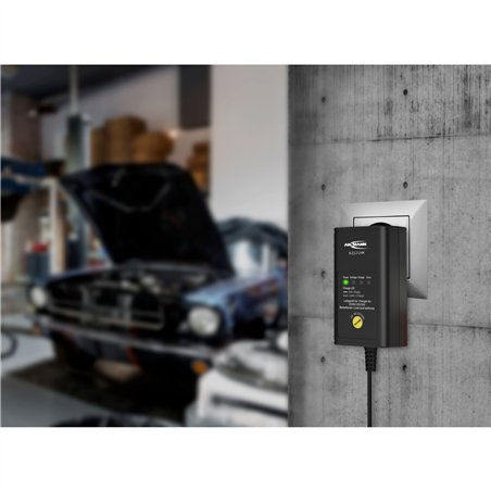 Ansmann ALCS2-12/0.4