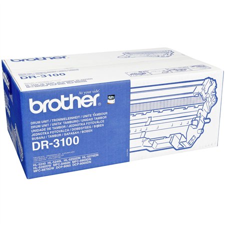 Brother DR-3100 Kit tamburo