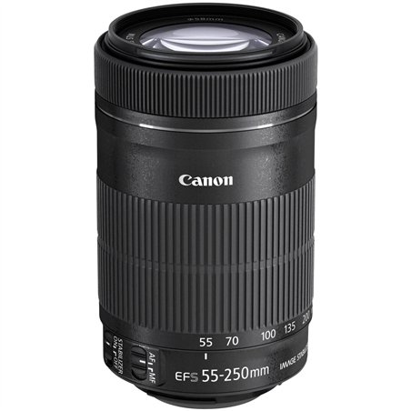 Canon EF-S 4,0-5,6/55-250 IS STM