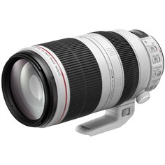Canon EF 4,5-5,6/100-400 L IS II USM