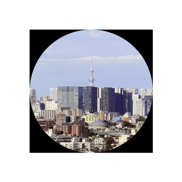 Canon Binocolo 12x36 IS III