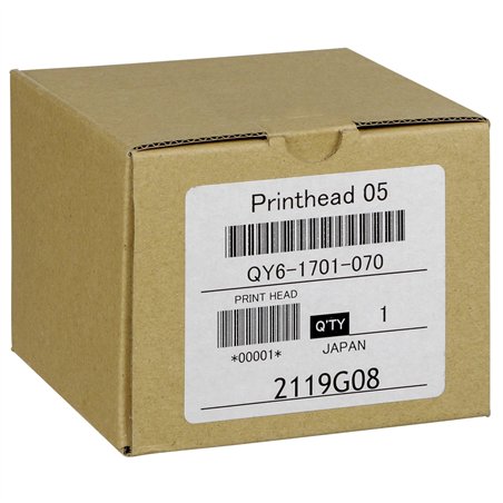 Canon PF-05 Testina di stampa