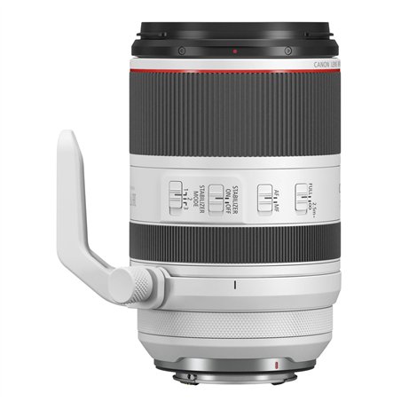 Canon RF 2,8/70-200 L IS USM