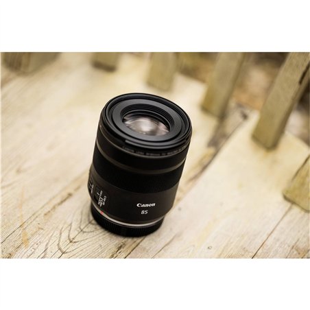 Canon RF 2/85 Macro IS STM