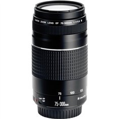 Canon EF DC  4,0-5,6/75-300 III