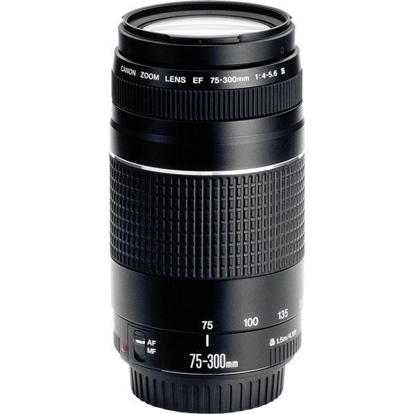 Canon EF DC  4,0-5,6/75-300 III