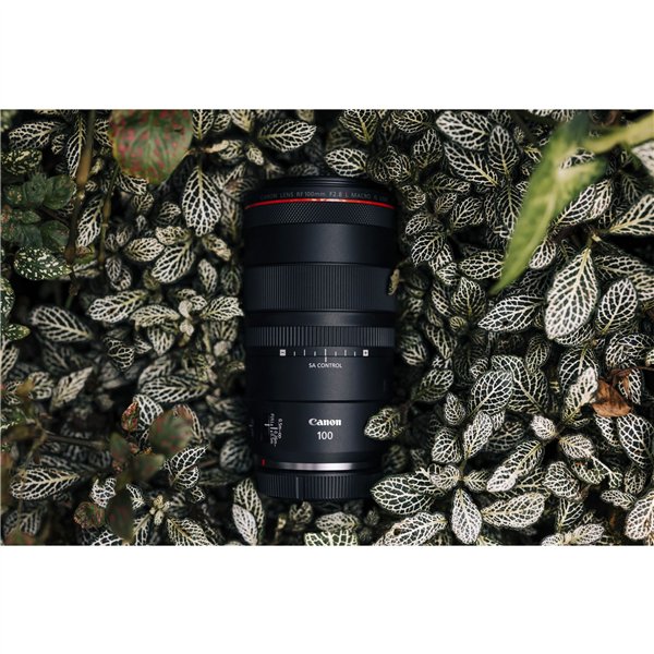 Canon RF 2,8/100 L Macro IS USM