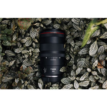 Canon RF 2,8/100 L Macro IS USM