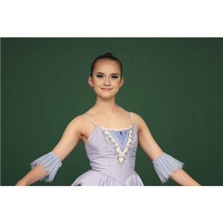 Canon RF 5,6-8/100-400 IS USM