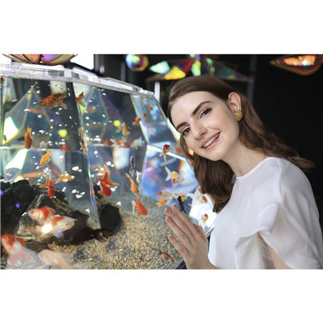 Canon RF 1,8/24 IS STM