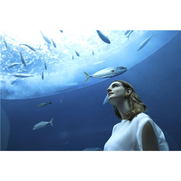 Canon RF 1,8/24 IS STM