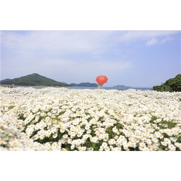 Canon RF 1,8/24 IS STM