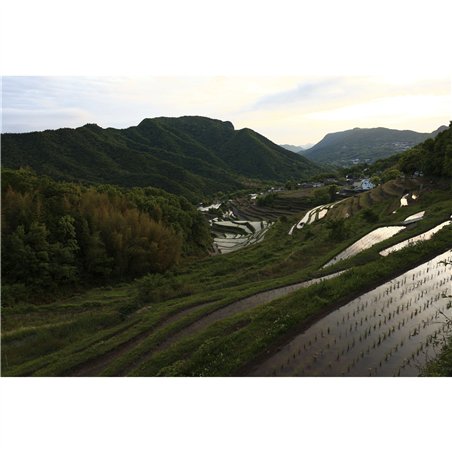 Canon RF 1,8/24 IS STM