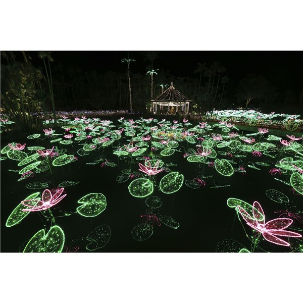 Canon RF 4,5-6,3/15-30 IS STM