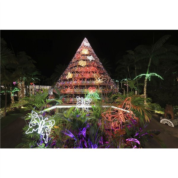 Canon RF 4,5-6,3/15-30 IS STM