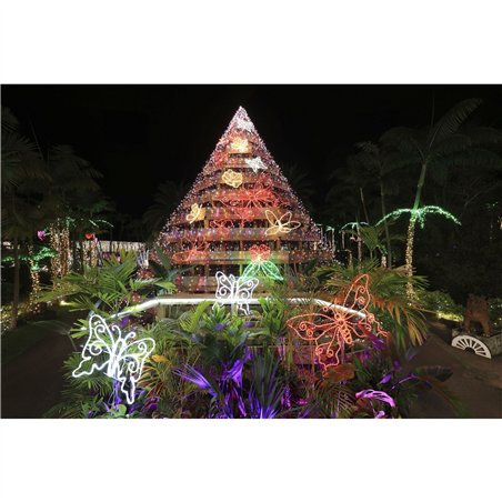 Canon RF 4,5-6,3/15-30 IS STM