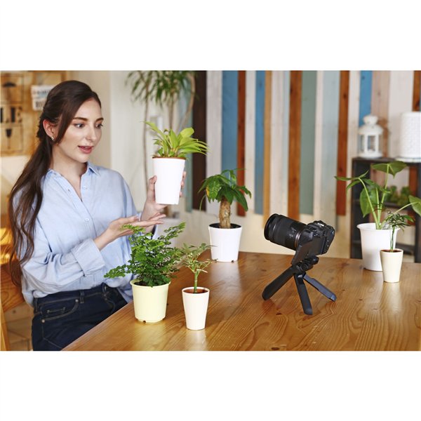 Canon RF 4,5-6,3/15-30 IS STM