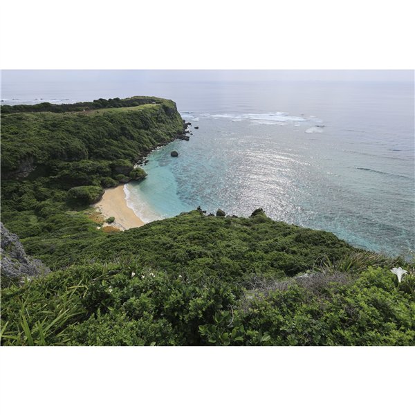 Canon RF 4,5-6,3/15-30 IS STM