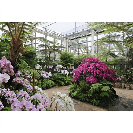 Canon RF 4,5-6,3/15-30 IS STM