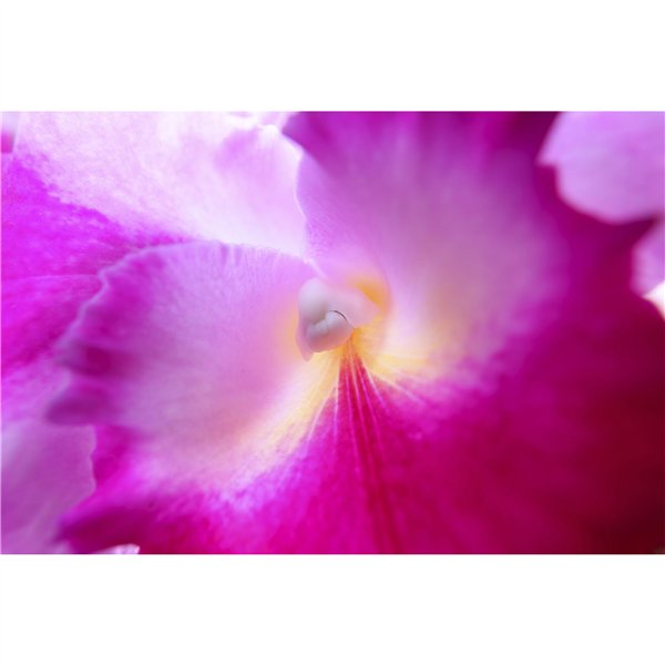 Canon RF 4,5-6,3/15-30 IS STM