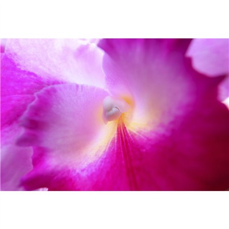 Canon RF 4,5-6,3/15-30 IS STM