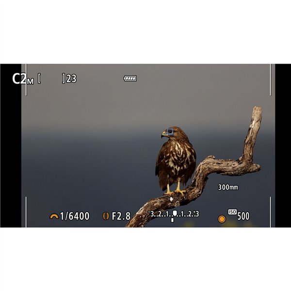 Canon EOS R7 Set + RF-S 3,5-6,3/18-150 IS STM