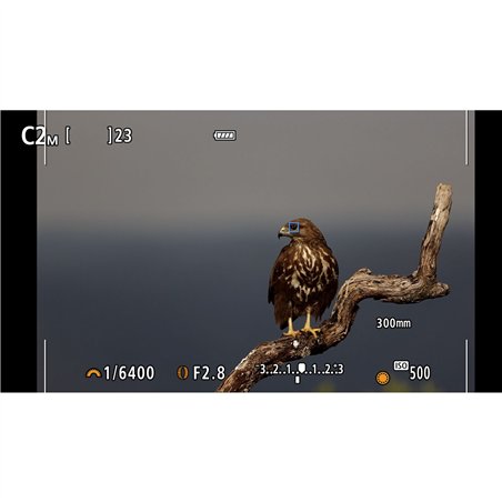 Canon EOS R7 Set + RF-S 3,5-6,3/18-150 IS STM