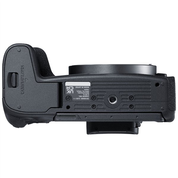 Canon EOS R8 Set + RF 4,5-6,3/24-50 IS STM