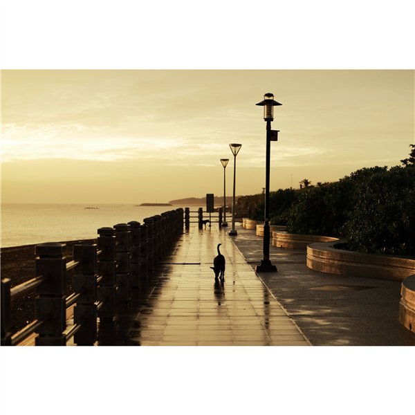 Canon RF 2,8/28-70 IS STM