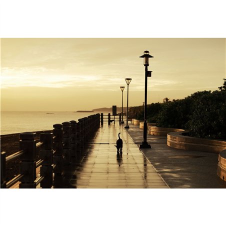 Canon RF 2,8/28-70 IS STM