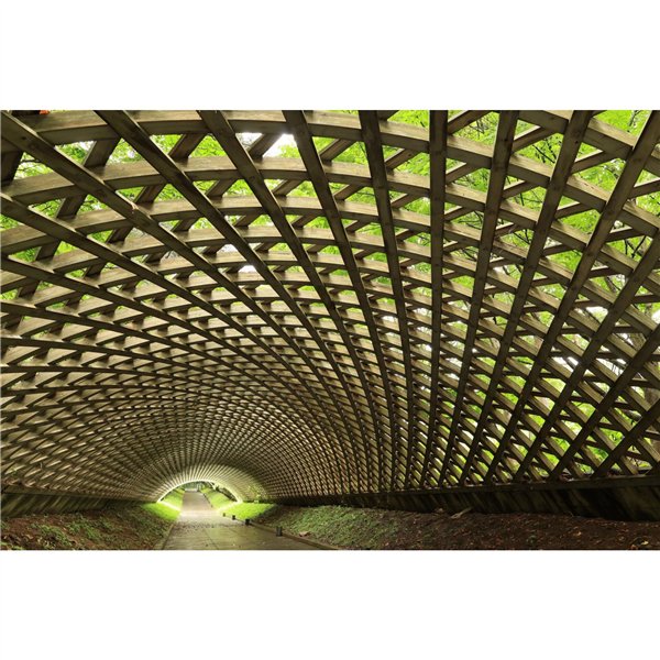 Canon RF 1,4/24 F L VCM