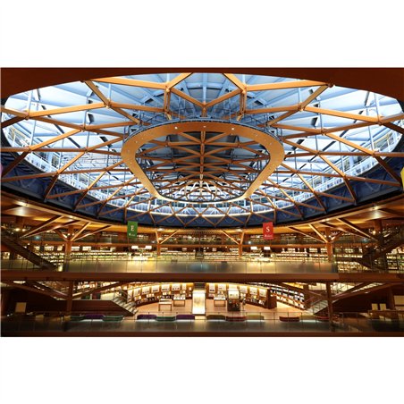 Canon RF 1,4/20 L VCM