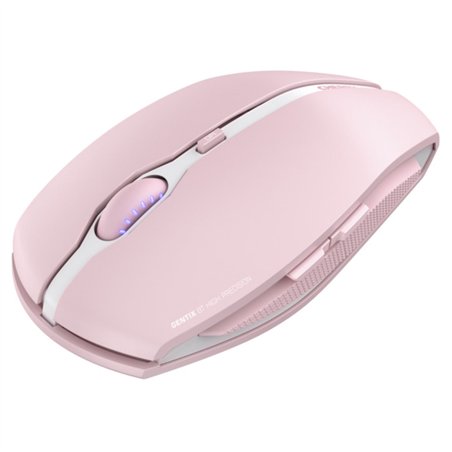 Cherry Gentix BT Cherry Blossom