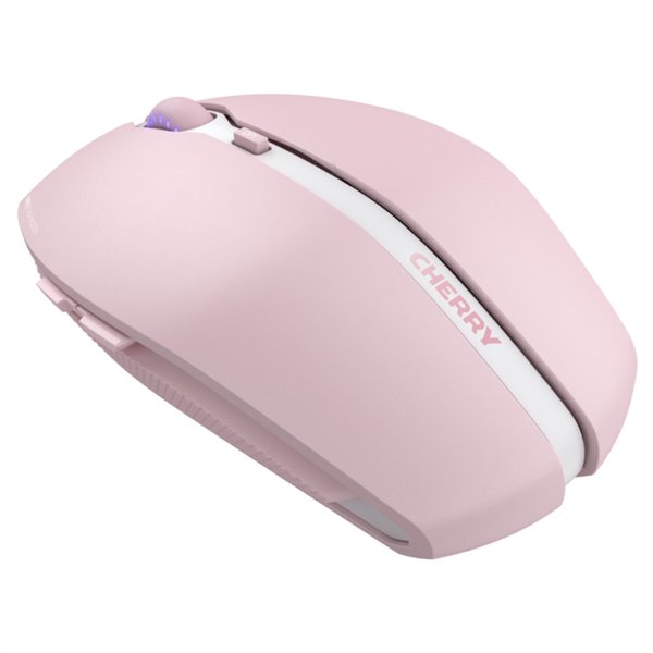 Cherry Gentix BT Cherry Blossom