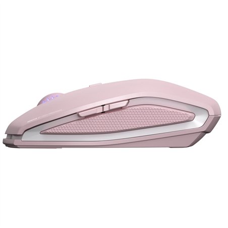 Cherry Gentix BT Cherry Blossom