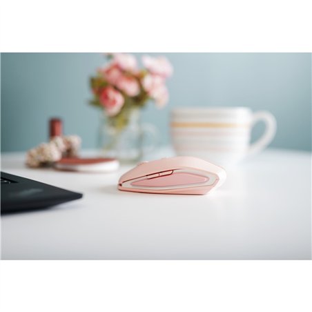 Cherry Gentix BT Cherry Blossom