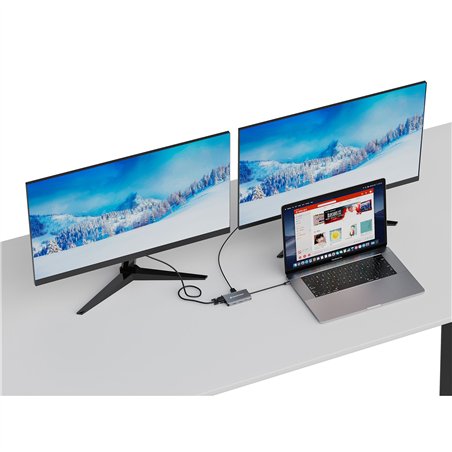 Conceptronic DONN21G 7-in-1 Dockingstation